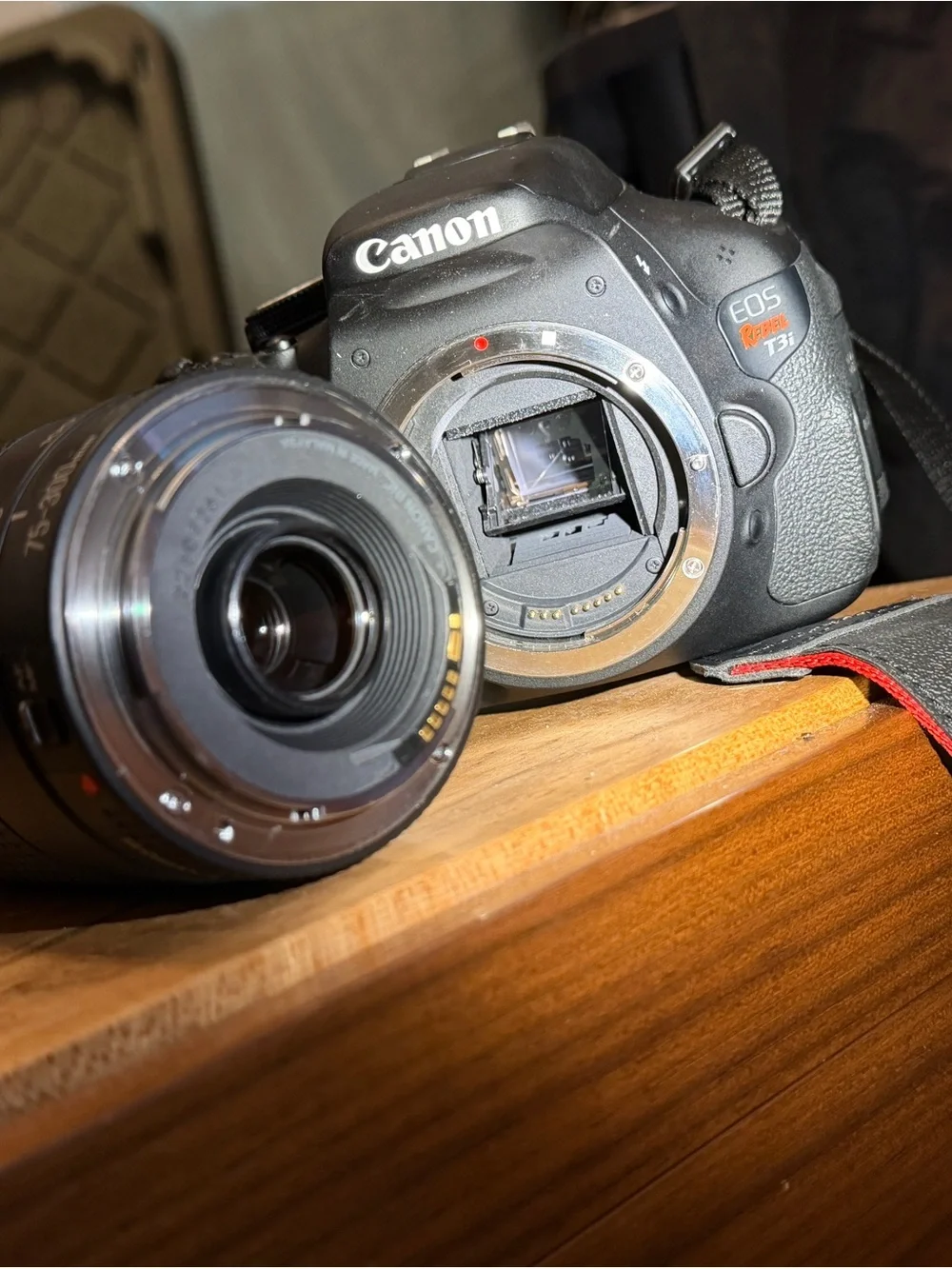 Canon DSLR Camera with Black Telephoto Zoom Lens